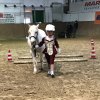 Top_Horses